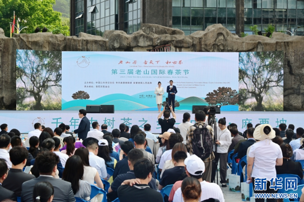 东兴资本配资 第三届“老山国际春茶节”活动在云南麻栗坡举办